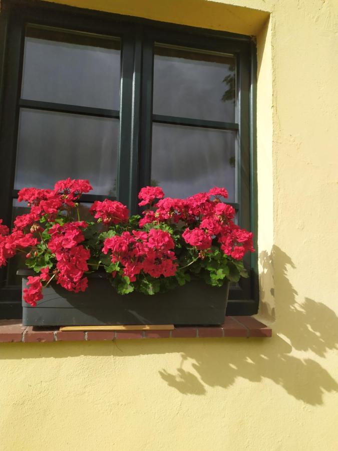 Wirtshaus Neuenkirchen Hotel Neuenkirchen auf Rugen Exterior photo